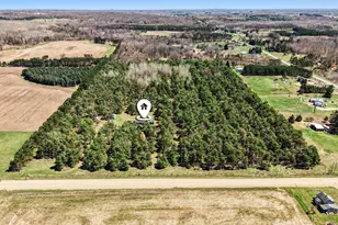 20240 10th Ave, Barryton, MI 49305 - Photo 26