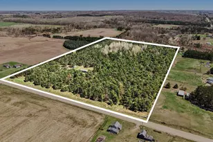 20240 10th Ave, Barryton, MI 49305 - Photo 24