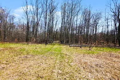 Vl N Pine Avenue, Big Rapids, MI 49307 - Photo 18