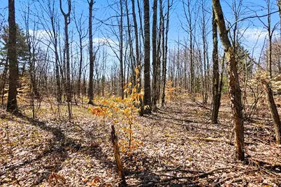 Vl N Pine Avenue, Big Rapids, MI 49307 - Photo 26