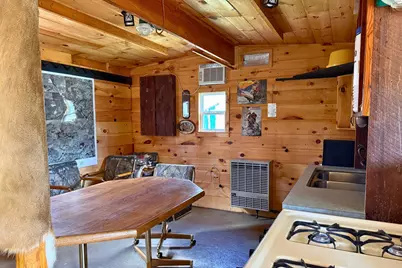 Vl N Pine Avenue, Big Rapids, MI 49307 - Photo 4
