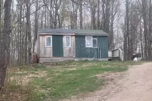 7330 N Asplund Dr, Tustin, MI 49688 - Photo 30