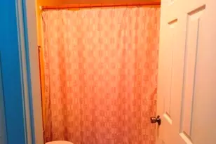 9236 Lake Dr, Reed City, MI 49677 - Photo 12