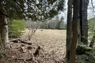 4010 Lake Shore Dr, Charlevoix, MI 49720 - Photo 28