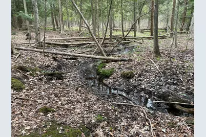 2.27 Acres W Shelby Road, Shelby, MI 49455 - Photo 24