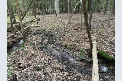 2.27 Acres W Shelby Road, Shelby, MI 49455 - Photo 18