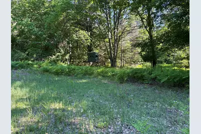 2.27 Acres W Shelby Road, Shelby, MI 49455 - Photo 6