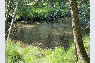 2.27 Acres W Shelby Road, Shelby, MI 49455 - Photo 4
