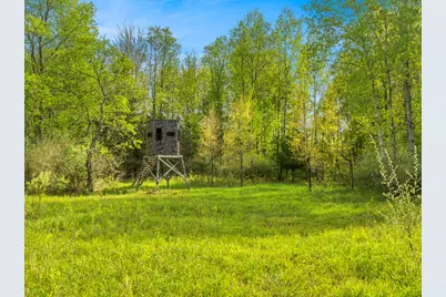0 Dzuibanek Road, Thompsonville, MI 49683 - Photo 10