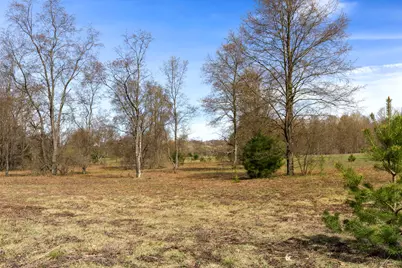 00Z0 Dzuibanek Road, Thompsonville, MI 49683 - Photo 12