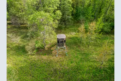 0 Dzuibanek Road, Thompsonville, MI 49683 - Photo 8
