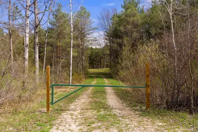 00Z0 Dzuibanek Road, Thompsonville, MI 49683 - Photo 2