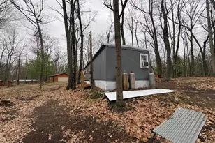 9612 S Briar Ave, Baldwin, MI 49304 - Photo 20