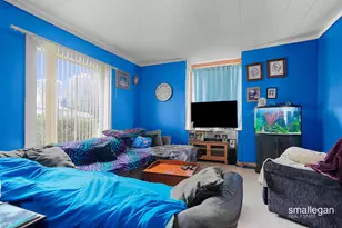 207 N Queen St, Nashville, MI 49073 - Photo 4