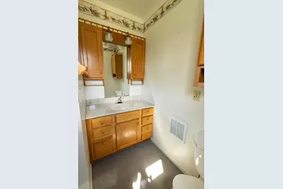 330 Johnson Street, Edmore, MI 48829 - Photo 30