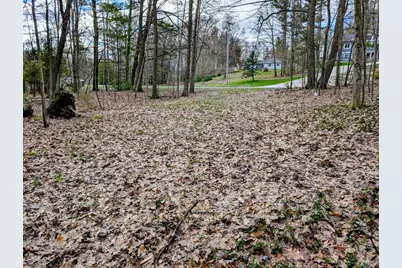 Vl W Jagger Road, Ludington, MI 49431 - Photo 4