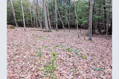 Vl W Jagger Road, Ludington, MI 49431 - Photo 2