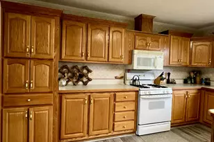 1897 E Edgar Rd, Edmore, MI 48829 - Photo 4