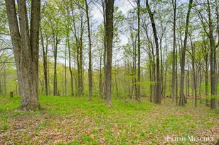 2910 Tobias Rd, Delton, MI 49046 - Photo 38