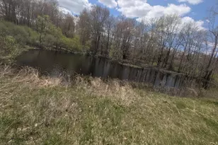 950 W 40th St, Fremont, MI 49412 - Photo 60
