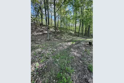 Vl Horseshoe Cove, Allegan, MI 49010 - Photo 14