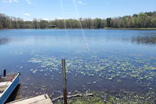 31421 Co Rd 388, Gobles, MI 49055 - Photo 24