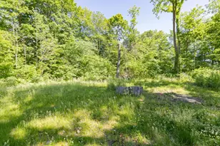 61305 Crooked Creek Rd, Cassopolis, MI 49031 - Photo 40