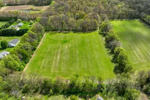 5299 Rives Junction Rd, Jackson, MI 49201 - Photo 54
