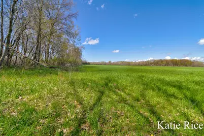 Vl S 96th Avenue, Rothbury, MI 49452 - Photo 1