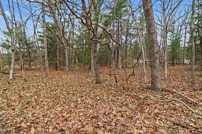 V/L E Catherine Road, Fountain, MI 49410 - Photo 10