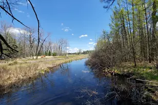 1153 W Channel St, Bitely, MI 49309 - Photo 32