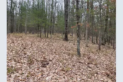 Parcel A Coates Hwy, Brethren, MI 49619 - Photo 6