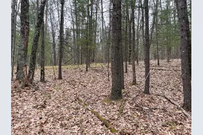 Parcel A Coates Hwy, Brethren, MI 49619 - Photo 8