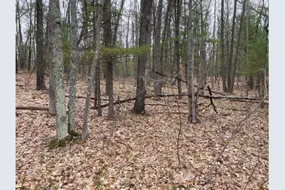 Parcel B Coates Hwy, Brethren, MI 49619 - Photo 2