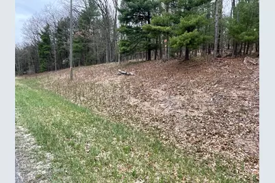 Parcel B Coates Hwy, Brethren, MI 49619 - Photo 12