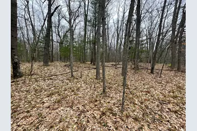 Parcel D Coates Hwy, Brethren, MI 49619 - Photo 1