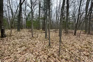 Parcel D Coates Hwy, Brethren, MI 49619 - Photo 1