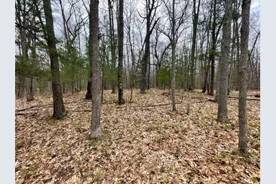 Parcel D Coates Hwy, Brethren, MI 49619 - Photo 2