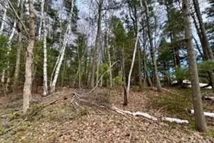 00 Lakeshore Dr, Manistee, MI 49660 - Photo 1