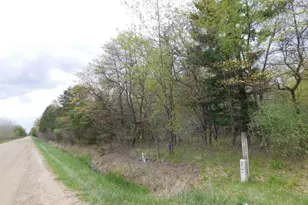 14540 Schroeder Rd, Saint Charles, MI 48655 - Photo 44