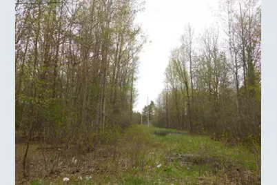 14540 Schroeder Road, Saint Charles, MI 48655 - Photo 26