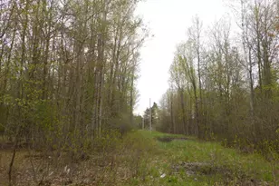 14540 Schroeder Rd, Saint Charles, MI 48655 - Photo 26