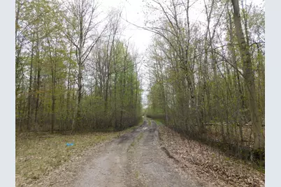 14540 Schroeder Road, Saint Charles, MI 48655 - Photo 40
