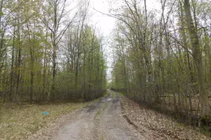 14540 Schroeder Rd, Saint Charles, MI 48655 - Photo 40