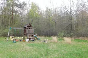 14540 Schroeder Rd, Saint Charles, MI 48655 - Photo 24