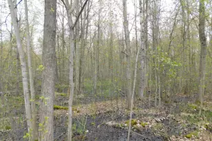 14540 Schroeder Rd, Saint Charles, MI 48655 - Photo 38