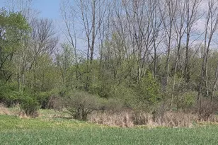 1627 W Barnes Rd, Leslie, MI 49251 - Photo 48
