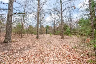 7856 135th Ave, Stanwood, MI 49346 - Photo 56