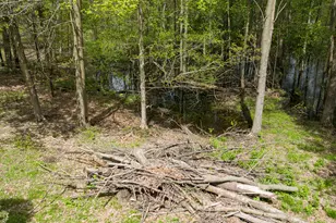 38338 64th Ave, Paw Paw, MI 49079 - Photo 52