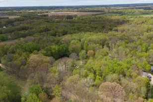 38338 64th Ave, Paw Paw, MI 49079 - Photo 50